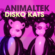 Animaltek – Disko Kats